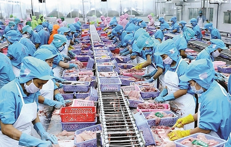 after pandemic fisheries exports confident to see good growth