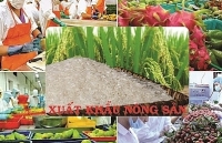 Agricultural products gain trade surplus of US$2.8 billion in four months
