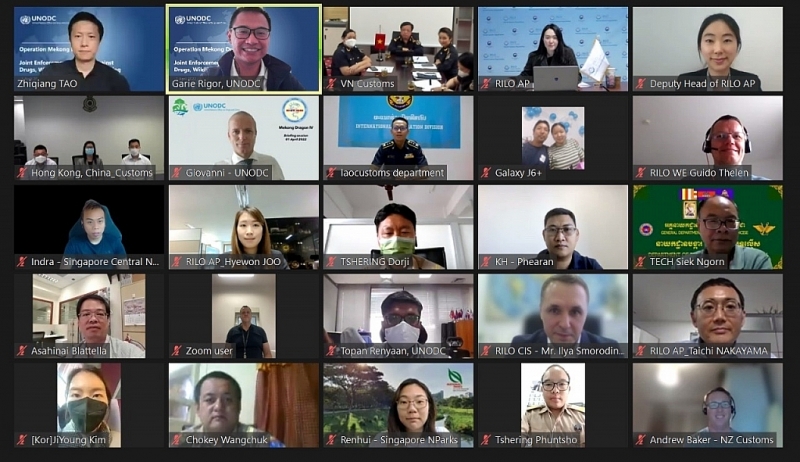 Delegates attend the online meeting (screenshot).
