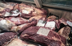 shaking hands with foreign enterprises to invest replacing imported beef