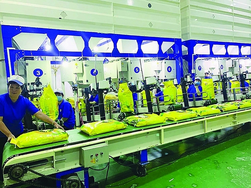 Trung An brand rice packing line for export to Europe. Source: Trung An Company