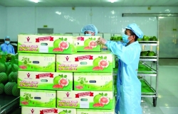 Building brands of agricultural products in the processing ecosystem for export