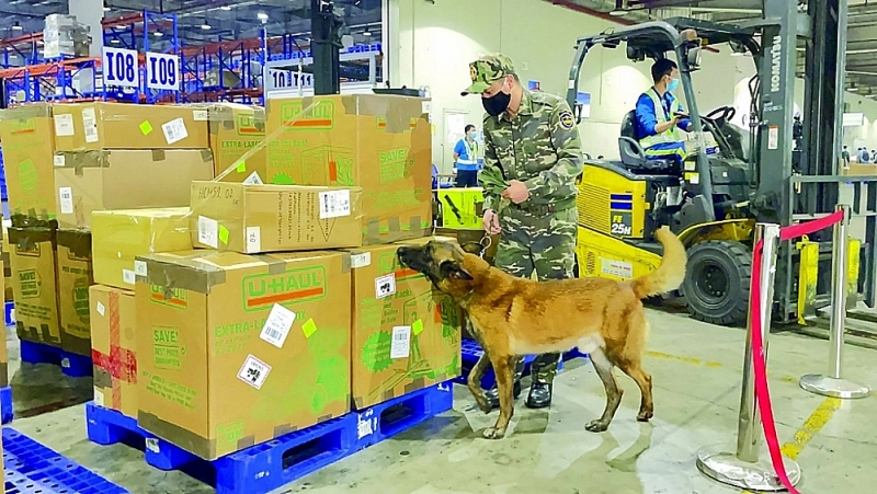 Officials of Noi Bai International Airport Customs Branch use sniffer dogs in control work. Photo: N.Linh