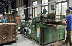Paper industry enterprises promote exports