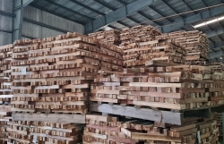 Risks surrounding the wood industry in the coming quarters