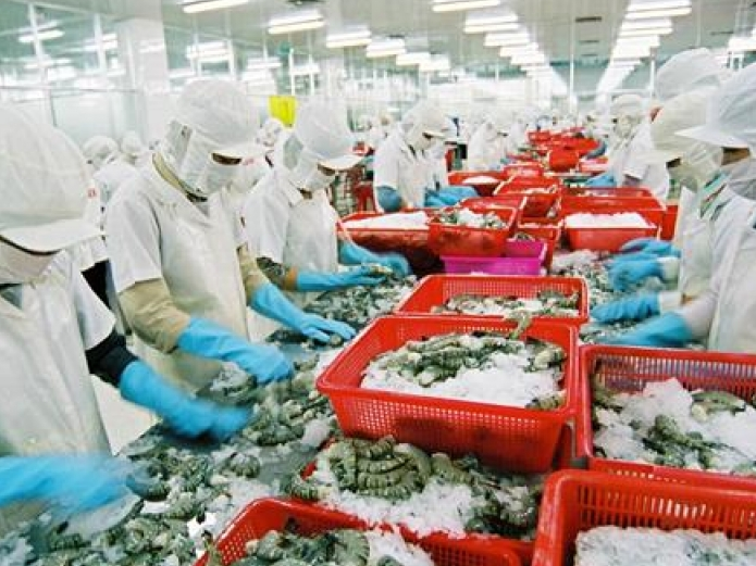 Japan became the Vietnam's top shrimp importer