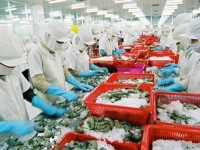 Overcoming the yellow card, shrimp exports to the EU still grow well