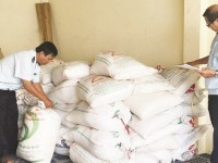 fight against smuggling of sugar fails to meet the actual situation
