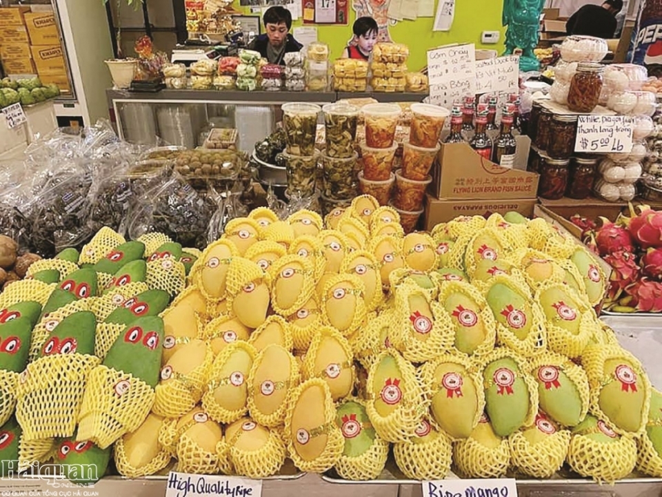 enterprises invest comprehensively to bring vietnamese fruits into fastidious markets