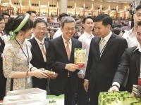 Enterprises invest comprehensively to bring Vietnamese fruits into fastidious markets
