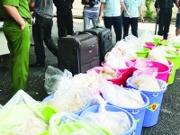 Customs on the front of drug prevention and combat –Part 4: Seizing nearly 500 kg of "high-class" drugs, worth VND 500 billion