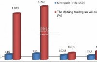 Import turnover of automobiles in Hai Phong is decreasing