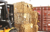 prevent nearly 100 tonnes of export waste of green channel worth more than vnd 500 million of tax
