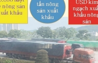lao cai new solutions to unlock imports and exports