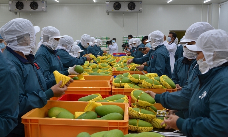 exports of fruits and vegetables to china witness record decline