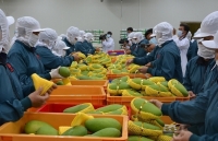 Exports of fruits and vegetables to China witness record decline