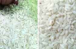 Fraudulent signs of Vietnamese rice origin clarified