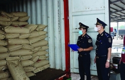 Mong Cai: actively develop anti-smuggling plan after dissolving Km15 station