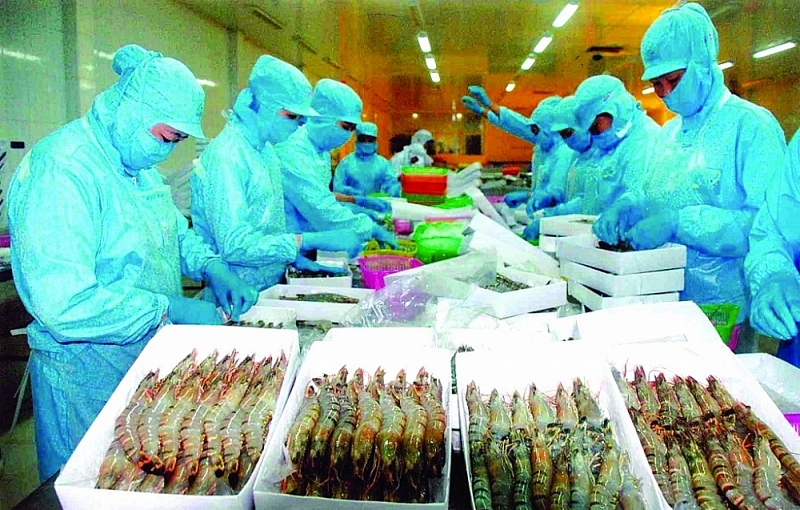 Shrimp is one of Vietnam’s exports facing many trade remedy lawsuits.Source: Internet.