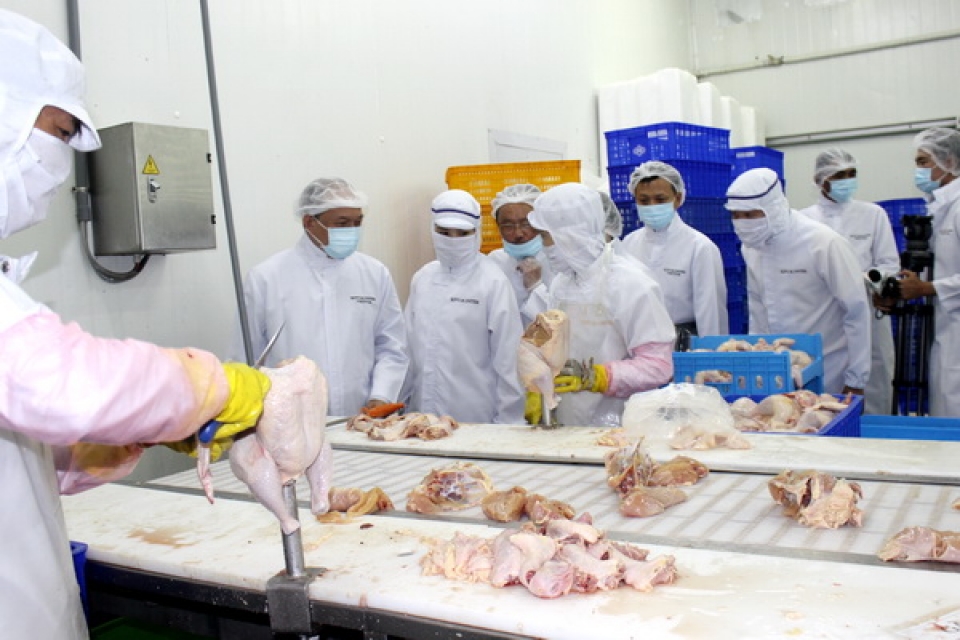 japan officially agrees to import chicken meat from vietnam
