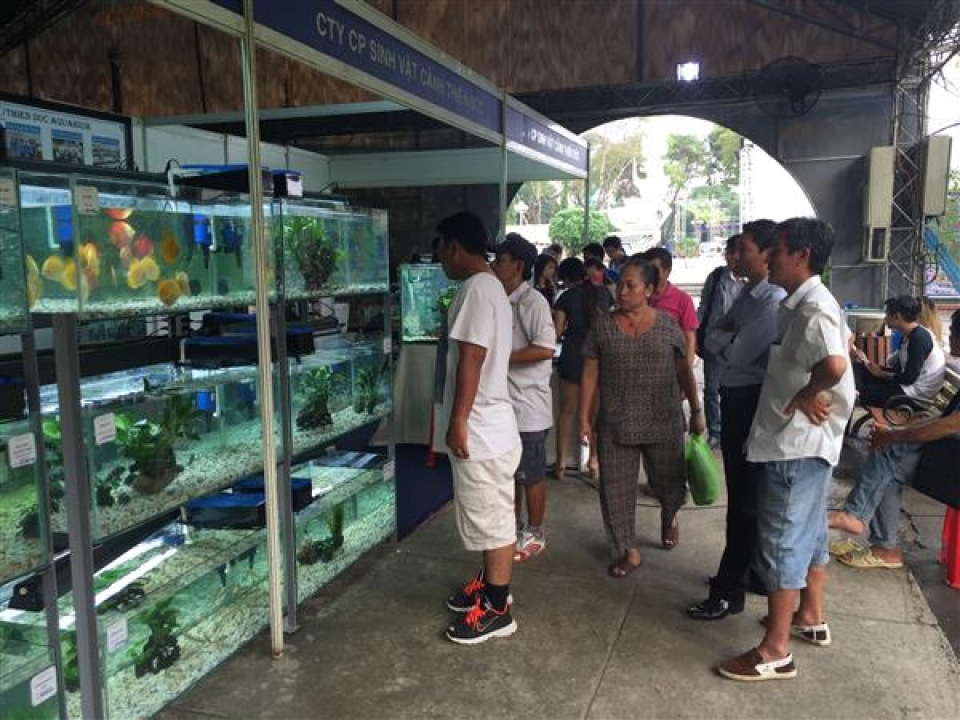 hcmc exports of ornamental fish and crocodiles bring tens of millions of dollars