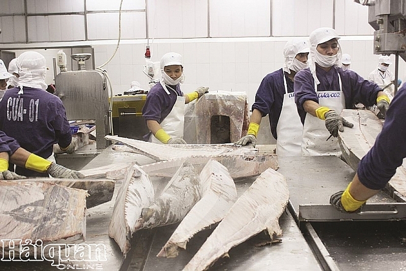 quota allocation 11500 tonnes of tuna are exported