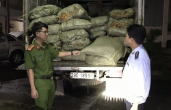Cao Bang Customs makes efforts to prevent illegal cross-border transportation of goods