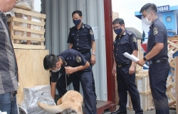 Ho Chi Minh City Customs: Strictly controlling the smuggling of drugs at border gate