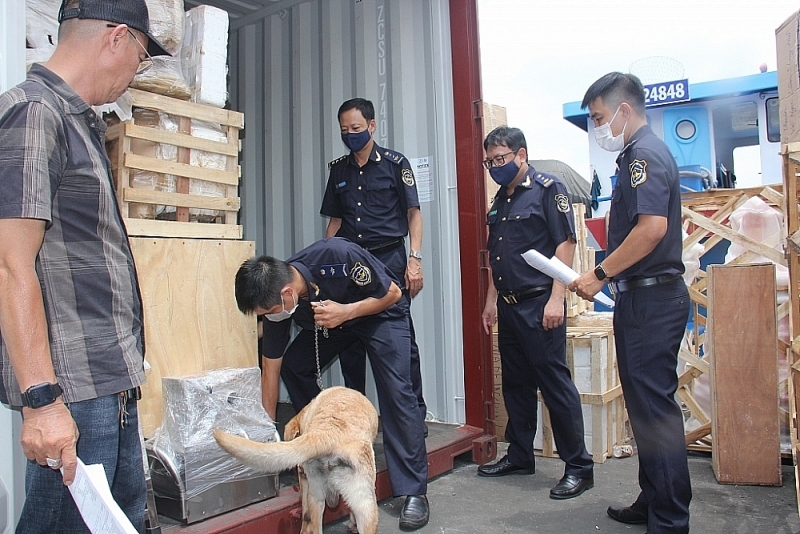 Customs forces use sniffer dogs to check exports shipments through Saigon port area 4. Photo: Thu Hoa