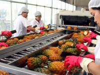 Agro-forestry-fishery exports valued at US$17.1 billion in the six months