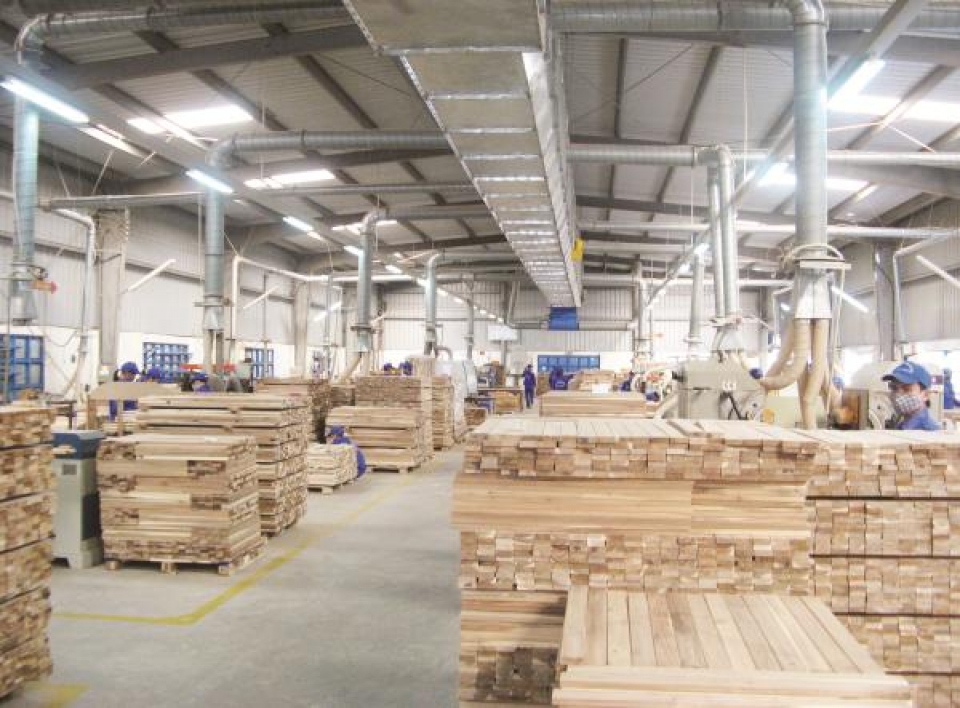 wood exports rapid growth great potential