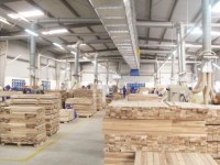 Wood exports: rapid growth, great potential