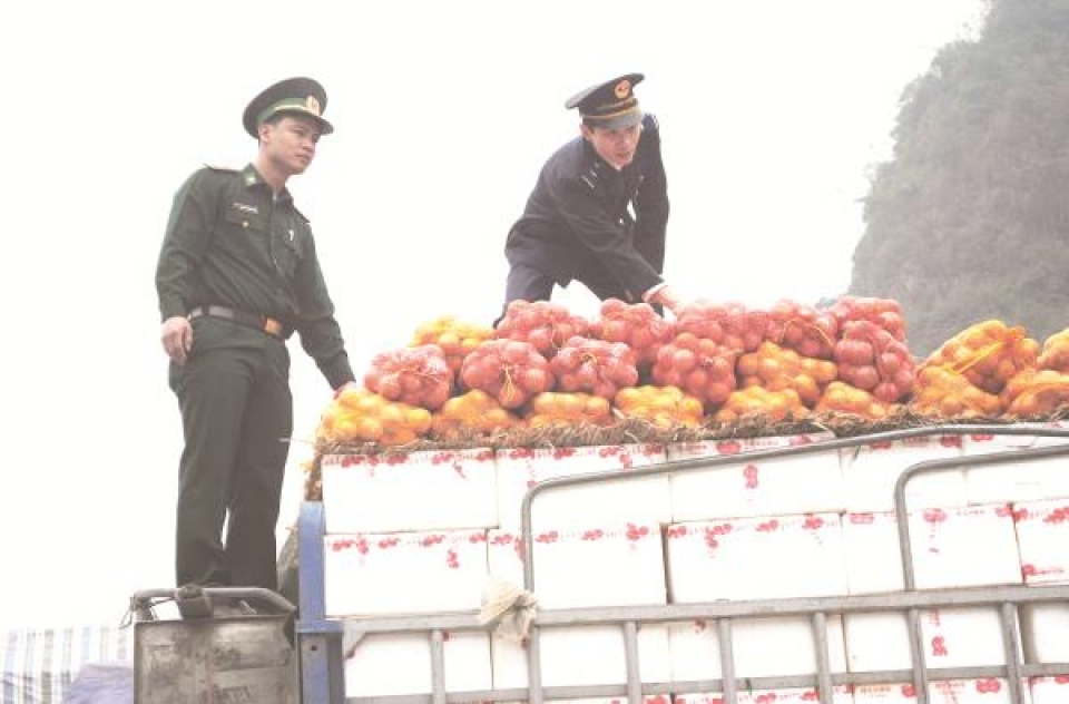 agricultural products importers have signs of vat evasion with amounts of dozens of billions of vnd