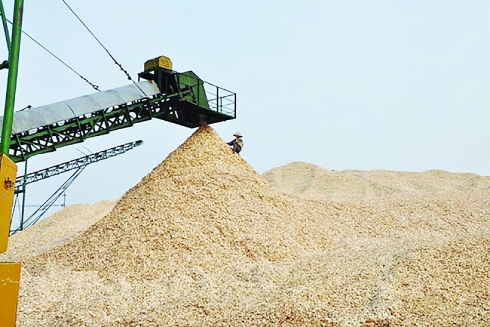 woodchip exports topping the world but not mastering the market