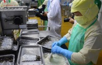 High hopes put for shrimp exports in H2