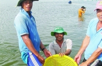 Fishery sector determines to remove the "yellow card", targeting US$10 billion