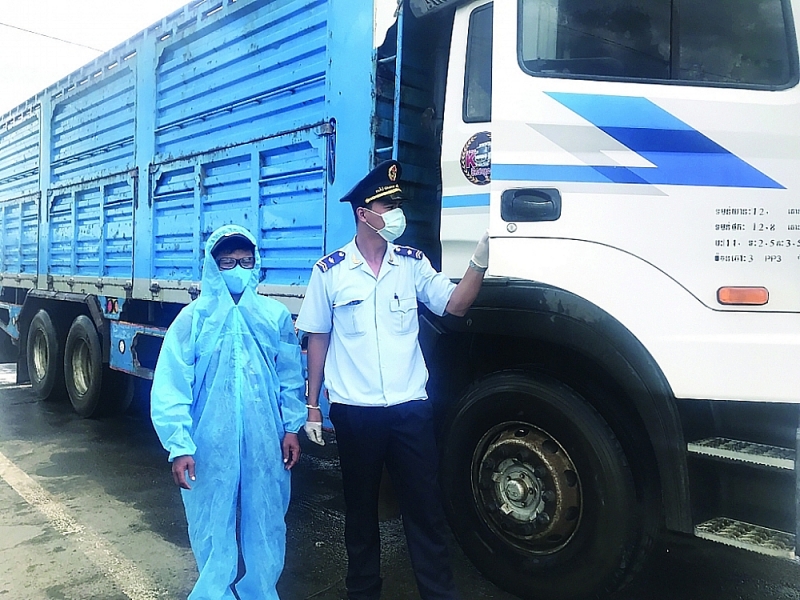 Customs officers of Khanh Binh Border Gate Customs Branch inspect trucks. Photo: T.H