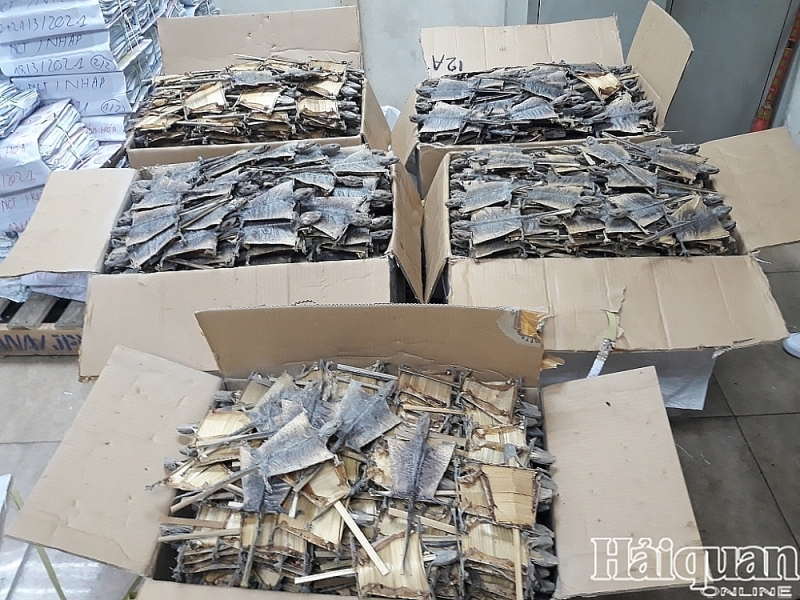 Dried geckos illegally imported from Indonesia to Noi Bai international airport are seized by the Anti-Smuggling and Investigation Department in collaboration with Hanoi Customs Department on June 30. Photo: T.Binh