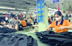Four big challenges prevent Vietnam’s products entering Americas