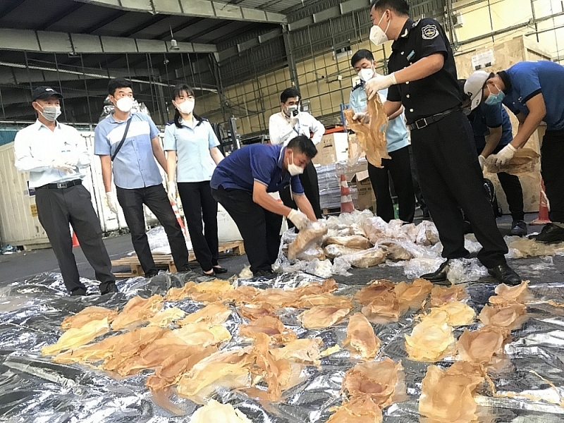 The smuggling of fish bladders by air is seized by Ho Chi Minh City Customs and the Anti-Smuggling Investigation Department in March 2022. Photo: T.H