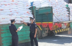 Strengthen inspection and supervision of imported sugar