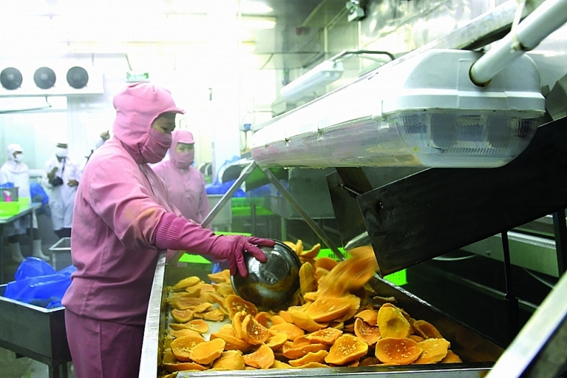 Processed mangoes for export help increase value of agricultural products many times. Photo: N.Thanh