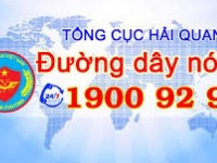 what does hotline 1900 9299 of the customs sector support to the enterprise