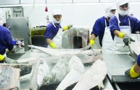 Fisheries enterprises propose to keep current working hours