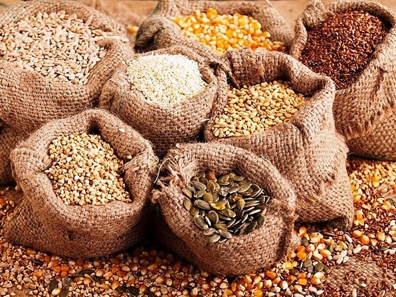 The Ministry of Finance has proposed applying the MFN import duty rate of 0% to seed products used for planting. Photo: Internet.