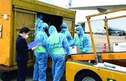 HCM City Customs: Flexible clearance for anti-pandemic products