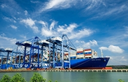 Rising freight rates force exporters to increase orders at CIF prices to retain customers