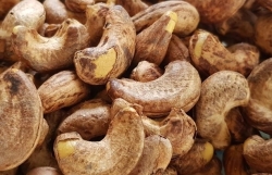 Preventing risk of tax evasion from imported raw cashew