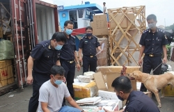 Ho Chi Minh City Customs: Offering a series of solutions against smuggling and fraud at the end of the year