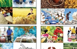 Agricultural sector sees trade surplus of more than US$6.3 billion